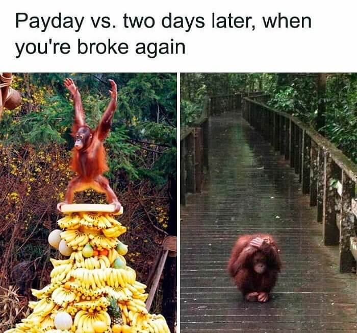 Why Payday Is the Best Day