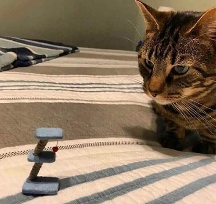 It's Important to Check the Dimensions