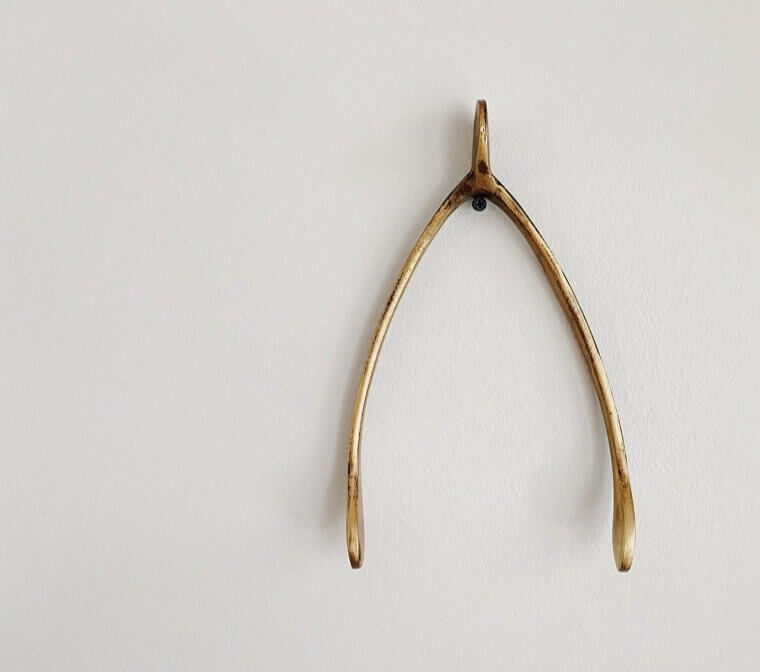 Lucky Break Wishbone