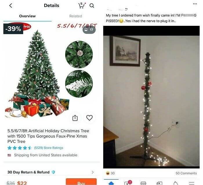 Instead of a Christmas Tree, It Was a Christmas Twig