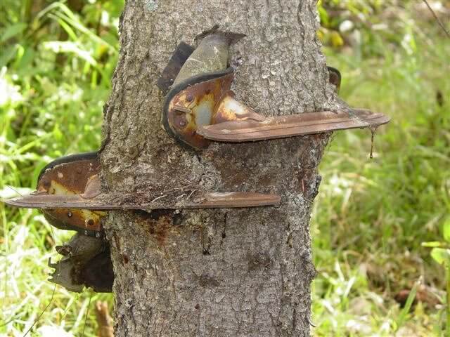 Just Hang Those Skates Up Outside To Air Out