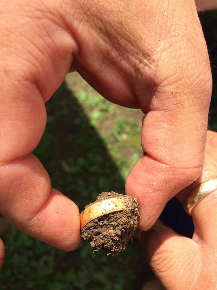 Lost Wedding Ring Found In Garden Years After the Fact