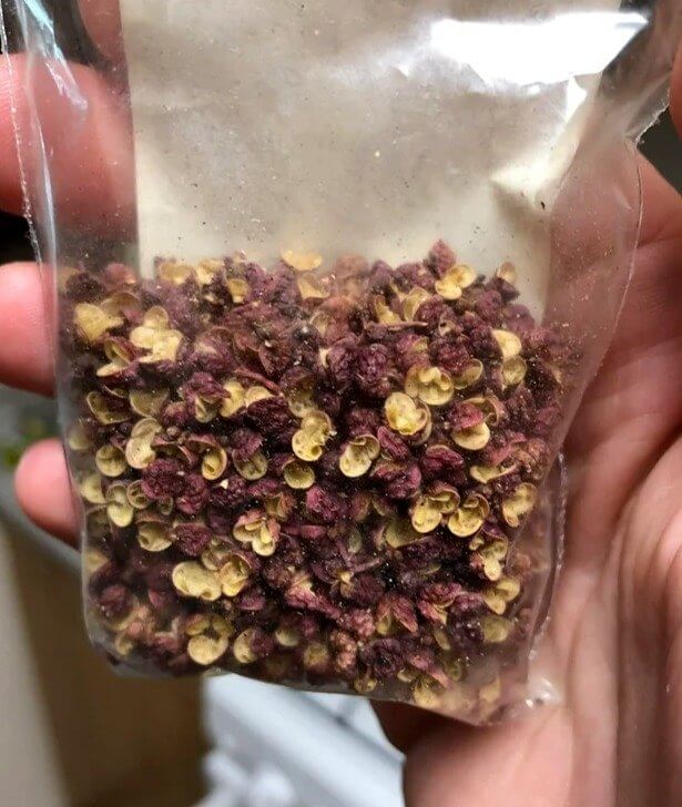 Easily Fight Ants With Dried Sichuan Peppers