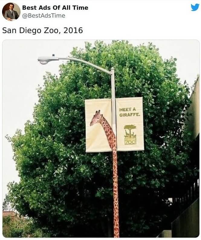 San Diego Zoo's Giraffe Advertisement