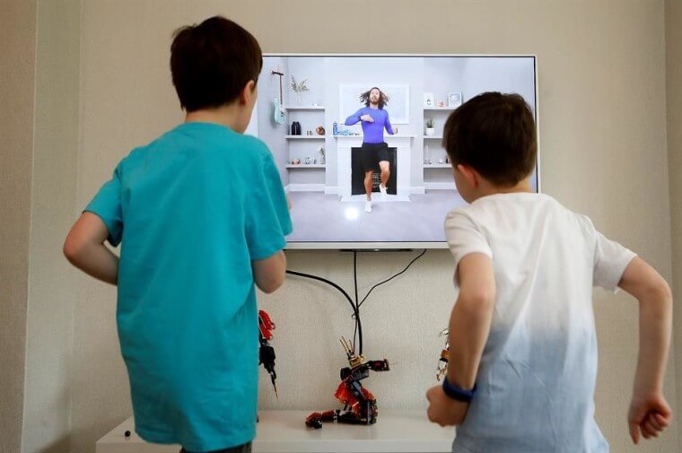 Online Fitness Industry