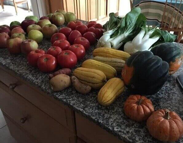 Ask for the "Damaged" Produce and Get Free Fruits and Veggies