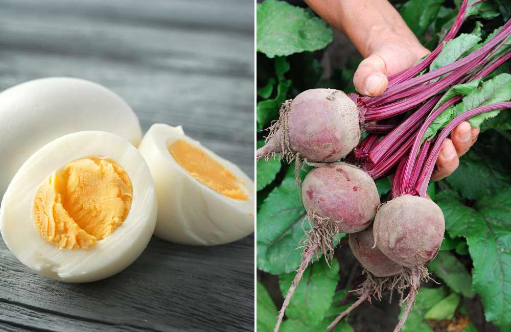 Budget-Friendly Healthy Foods We Should All Eat More Of