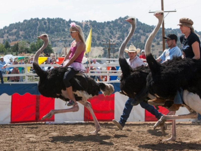 15 Strangest Sports Competitions From Around The Globe